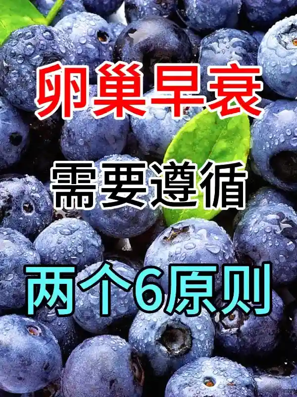 卵巢早衰：牢记“2个6”助孕养卵